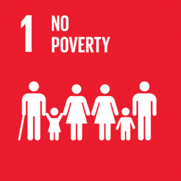 SDG1 빈곤종식
