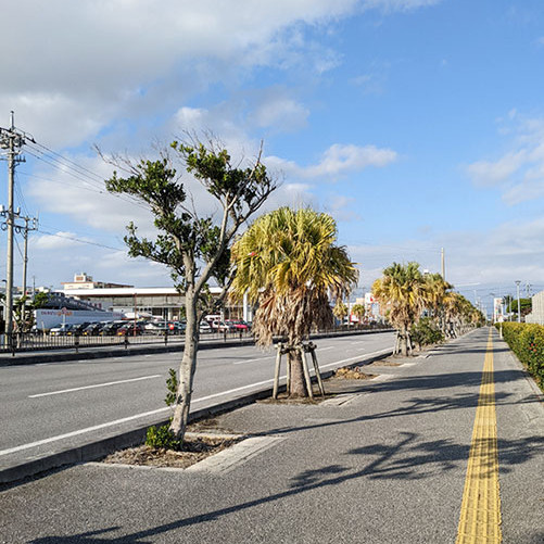 Desafío Caminar y Viajar en Bicicleta para la Tierra