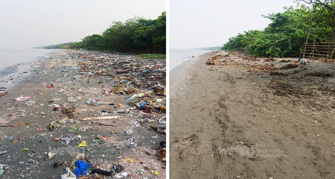 Crea conciencia ambiental en los ciudadanos y limpia las comunidades locales