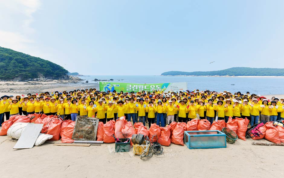 Cleanups in 20 Countries to Achieve Carbon Neutrality by 2050 