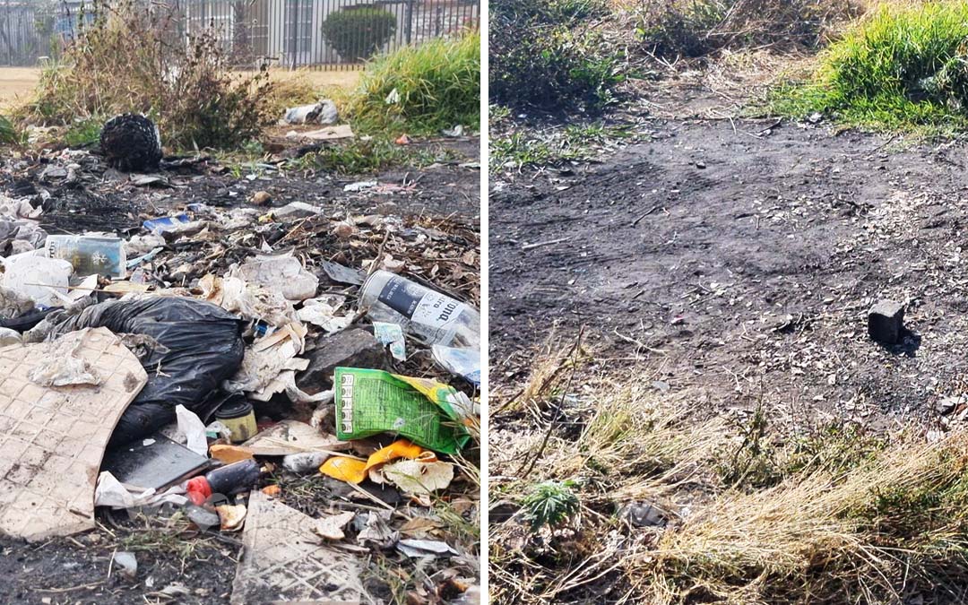 Cleanups in 20 Countries to Achieve Carbon Neutrality by 2050 