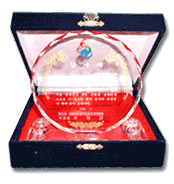 Busan FESPIC Games Organization Committee, Republic of Korea