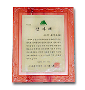 Plaque of Appreciation from Mayor of Daegu Metropolitan City, Republic of Korea