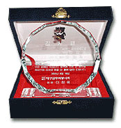 Daegu Gomdori Service Association, Republic of Korea