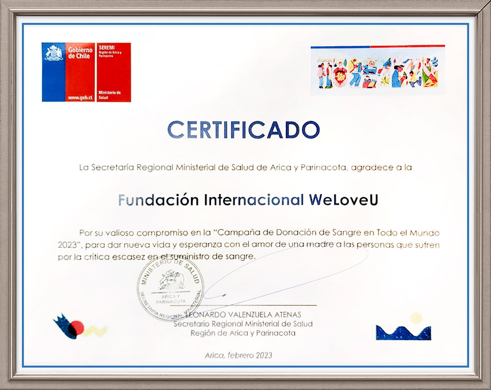 Certificate of Appreciation from Regional Ministerial Secretariat of Health of Arica and Parinacota, Chile