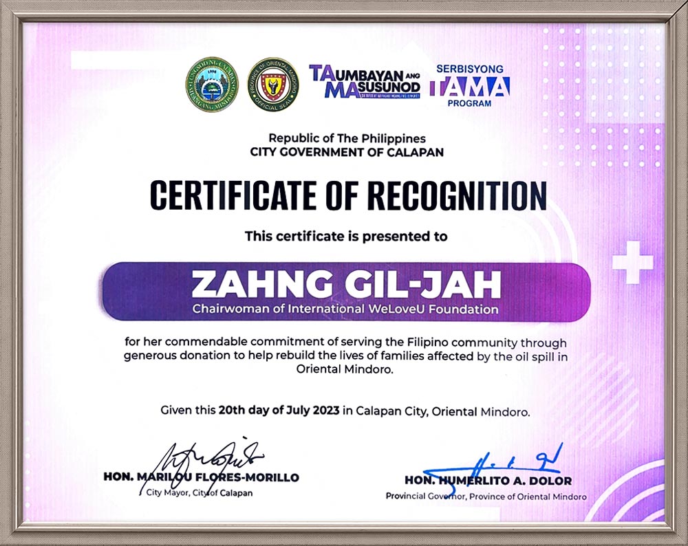 Certificate of Recognition from Provincial Governor of Oriental Mindoro, Philippines